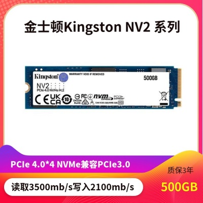 NV2-500GB